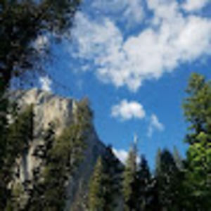 Meet your Posher, Jonah